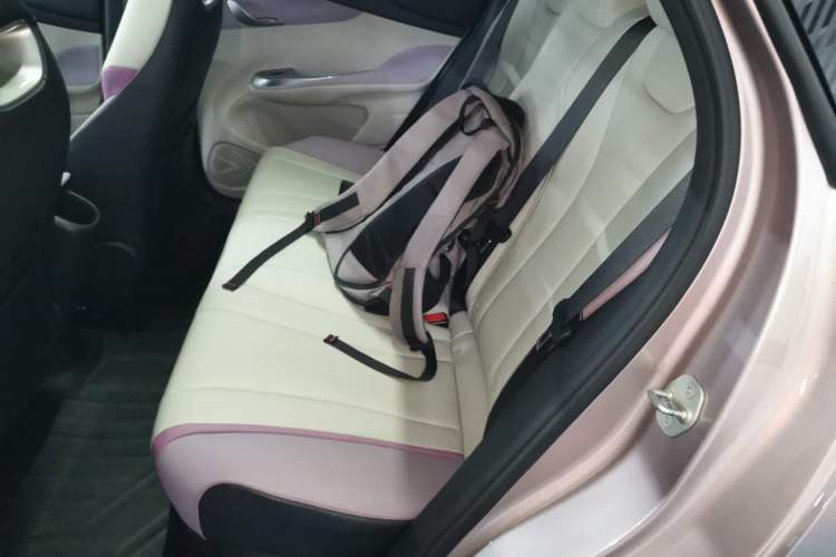 Used BYD Dolphin 2021 401km Knight Edition Interior 4