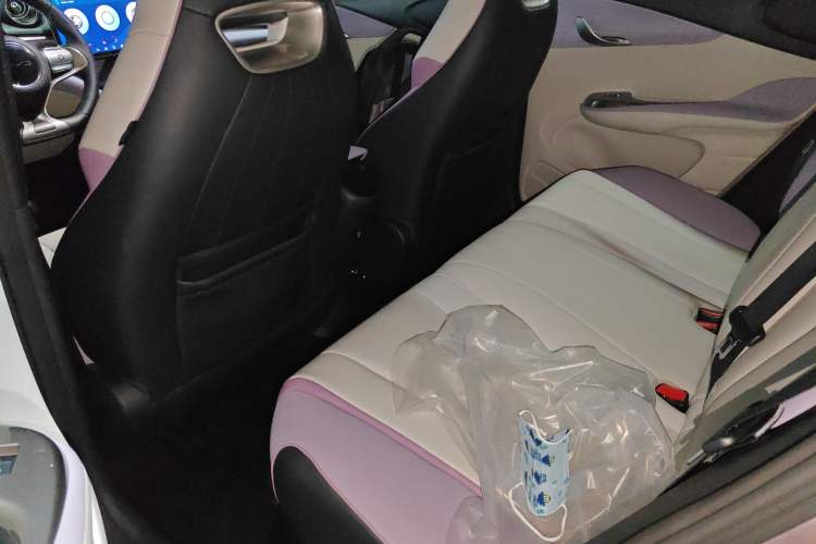Used BYD Dolphin 2021 405 km Fashion Edition Interior 4