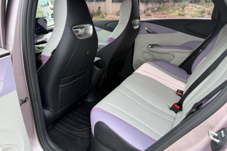 Used BYD Dolphin 2021 405 km Fashion Edition Interior 6