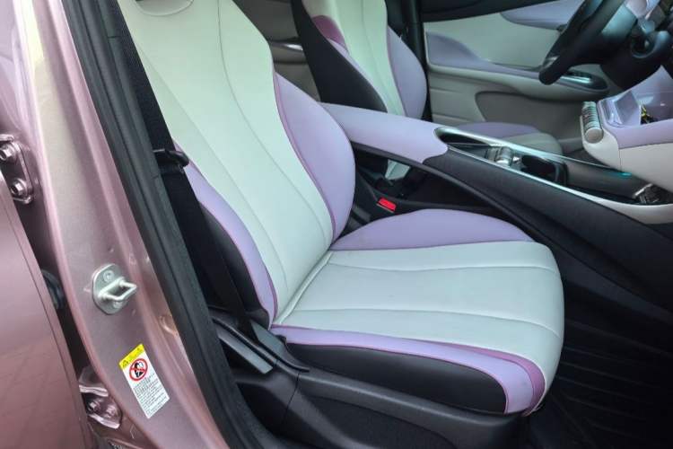 Used BYD Dolphin 2021 401km Knight Edition Interior 8