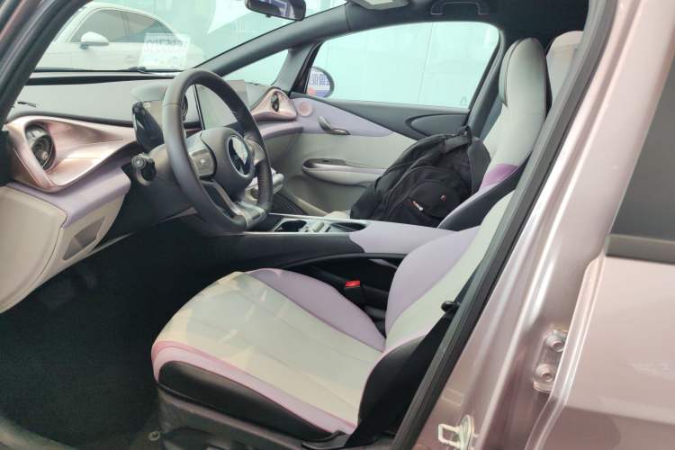 Used BYD Dolphin 2021 405 km Fashion Edition Left Front Seat