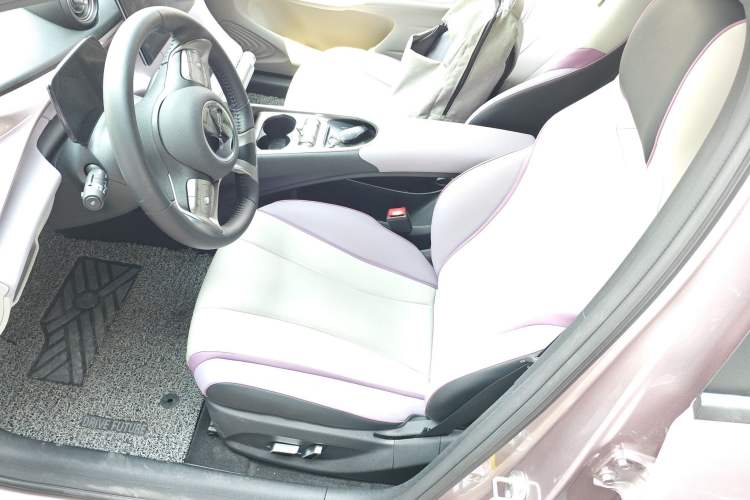 Used BYD Dolphin 2021 405 km Fashion Edition Left Front Seat