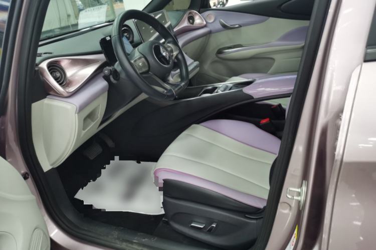 Used BYD Dolphin 2021 405 km Fashion Edition Left Front Seat
