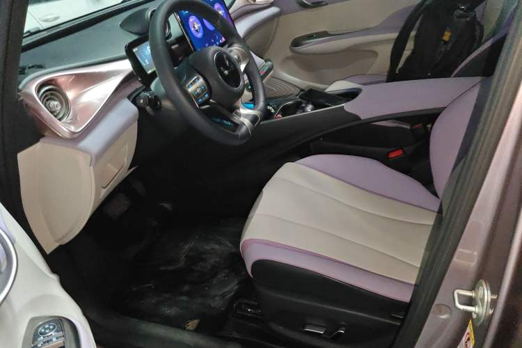 Used BYD Dolphin 2021 405 km Fashion Edition Left Front Seat
