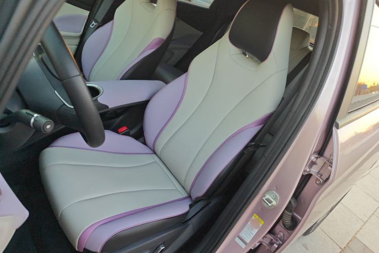 Used BYD Dolphin 2021 405 km Fashion Edition Left Front Seat