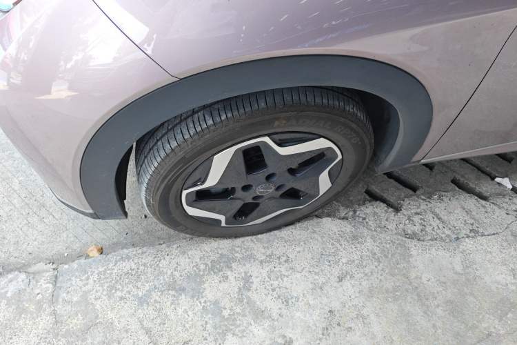 Used BYD Dolphin 2021 405 km Fashion Edition Left Front Wheel Hub