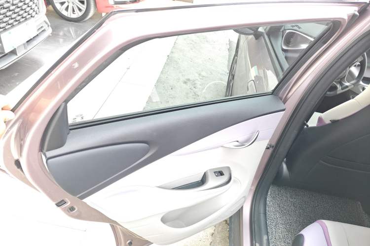 Used BYD Dolphin 2021 405 km Fashion Edition Left Rear Door Interior