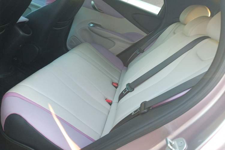 Used BYD Dolphin 2021 405 km Fashion Edition Left Rear Seat
