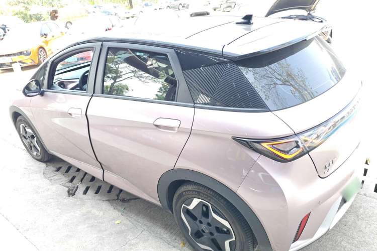 Used BYD Dolphin 2021 405 km Fashion Edition Left Side