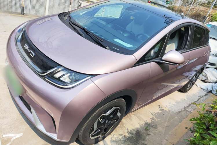 Used BYD Dolphin 2021 405 km Fashion Edition Left Side
