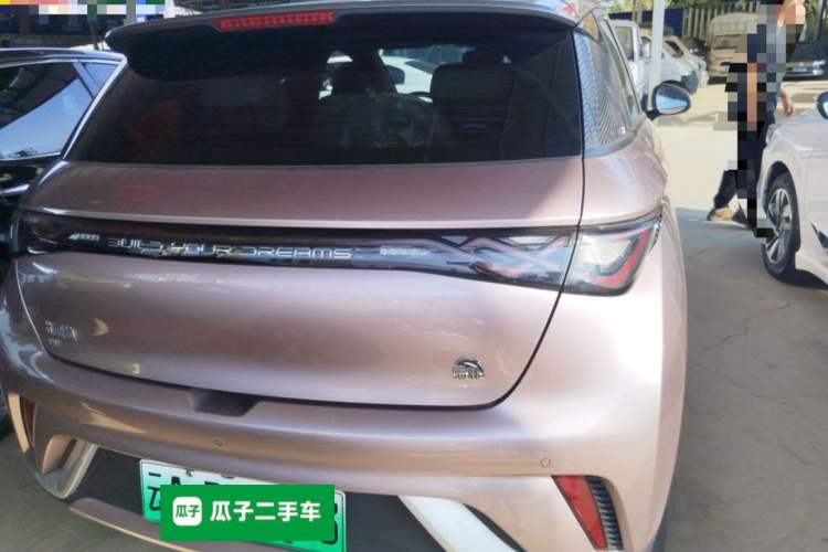 Used BYD Dolphin 2021 405 km Fashion Edition Rear