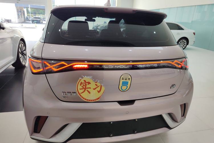 Used BYD Dolphin 2021 405 km Fashion Edition Rear