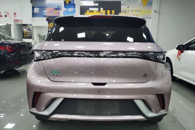 Used BYD Dolphin 2021 405 km Fashion Edition Rear