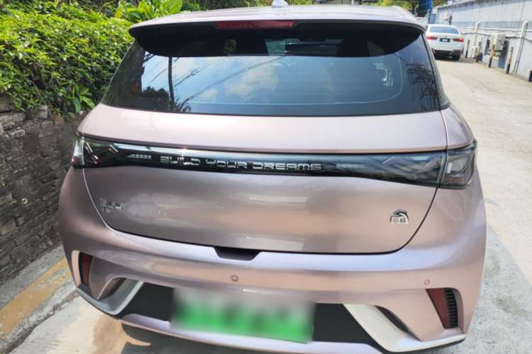 Used BYD Dolphin 2021 405 km Fashion Edition Rear