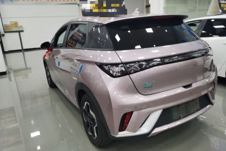 Used BYD Dolphin 2021 405 km Fashion Edition Rear Left 45 Deg