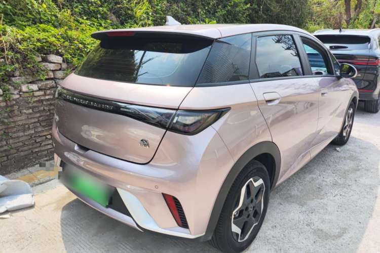 Used BYD Dolphin 2021 405 km Fashion Edition Rear Right 45 Deg