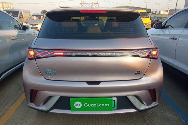 Used BYD Dolphin 2021 405 km Fashion Edition Rear