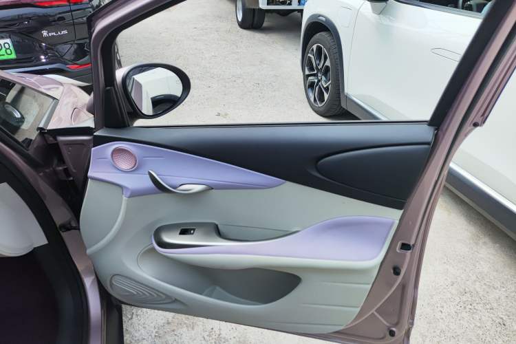 Used BYD Dolphin 2021 405 km Fashion Edition Right Front Door Interior