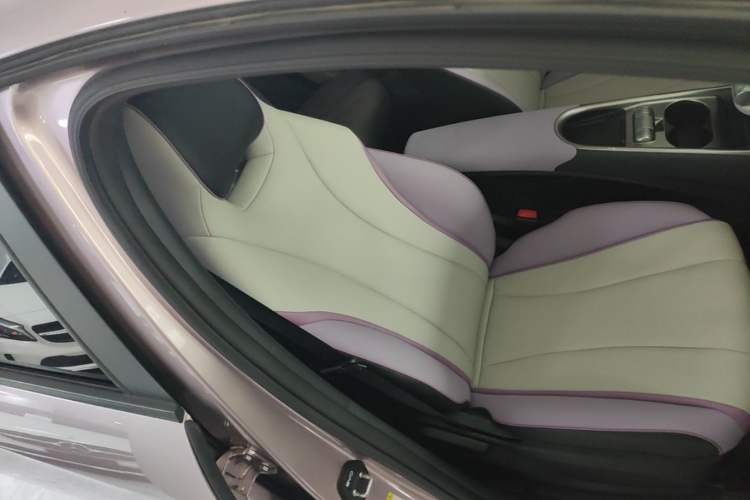Used BYD Dolphin 2021 405 km Fashion Edition Right Front Seat