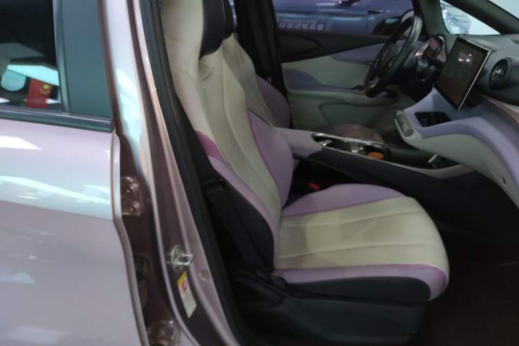 Used BYD Dolphin 2021 401km Knight Edition Right Front Seat