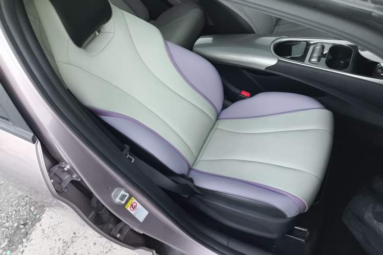Used BYD Dolphin 2021 405 km Fashion Edition Right Front Seat