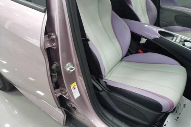 Used BYD Dolphin 2021 405 km Fashion Edition Right Front Seat
