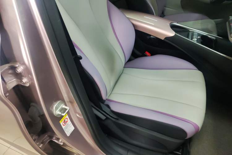 Used BYD Dolphin 2021 405 km Fashion Edition Right Front Seat