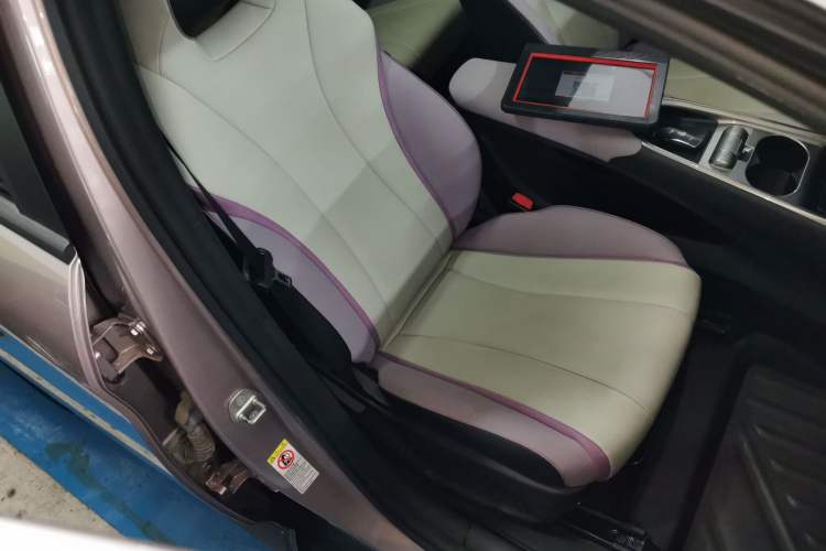 Used BYD Dolphin 2021 401km Knight Edition Right Front Seat
