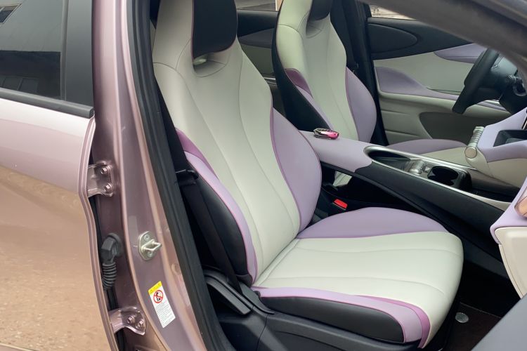 Used BYD Dolphin 2021 405 km Fashion Edition Right Front Seat