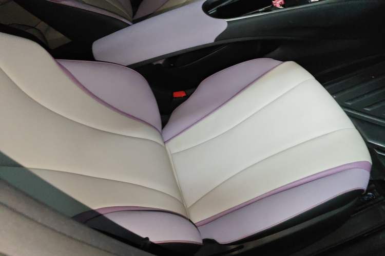 Used BYD Dolphin 2021 405 km Fashion Edition Right Front Seat
