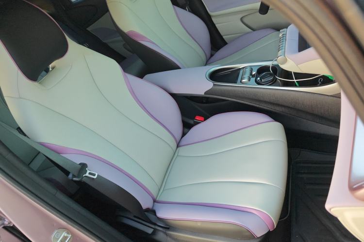 Used BYD Dolphin 2021 405 km Fashion Edition Right Front Seat