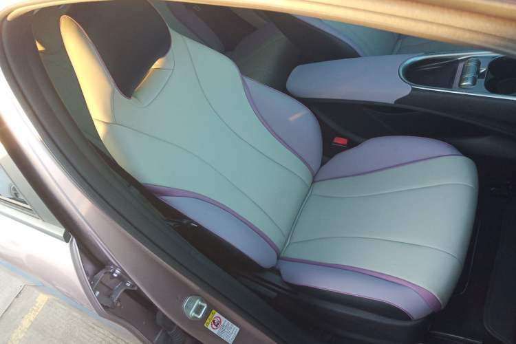 Used BYD Dolphin 2021 405 km Fashion Edition Right Front Seat