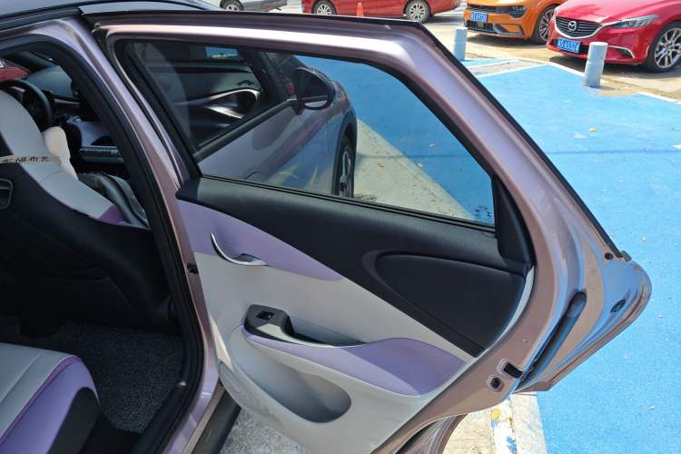 Used BYD Dolphin 2021 405 km Fashion Edition Right Rear Door Interior