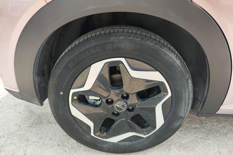 Used BYD Dolphin 2021 405 km Fashion Edition Right Rear Wheel Hub