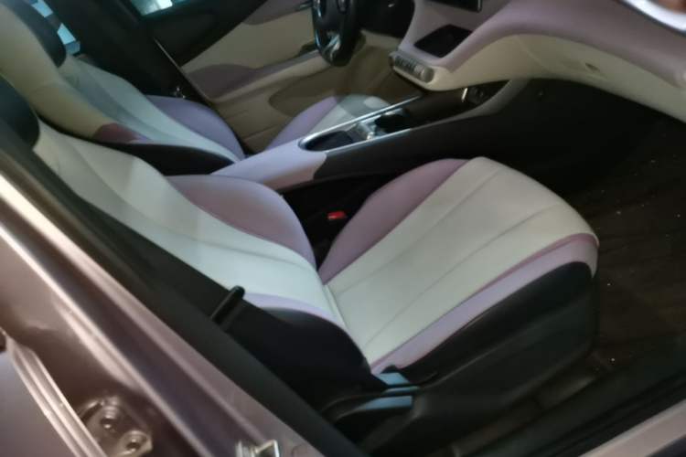 Used BYD Dolphin 2021 405 km Fashion Edition Right Front Seat