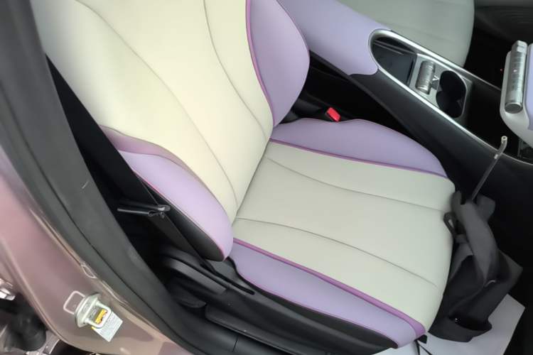 Used BYD Dolphin 2021 405 km Fashion Edition Right Front Seat