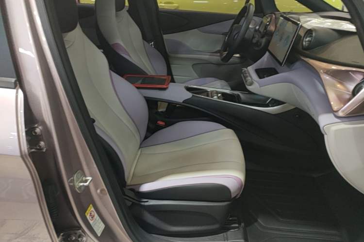 Used BYD Dolphin 2021 401km Knight Edition Right Front Seat