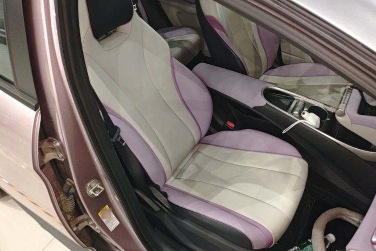 Used BYD Dolphin 2021 401km Knight Edition Right Front Seat