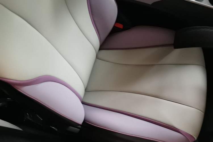 Used BYD Dolphin 2021 405 km Free Version Right Front Seat