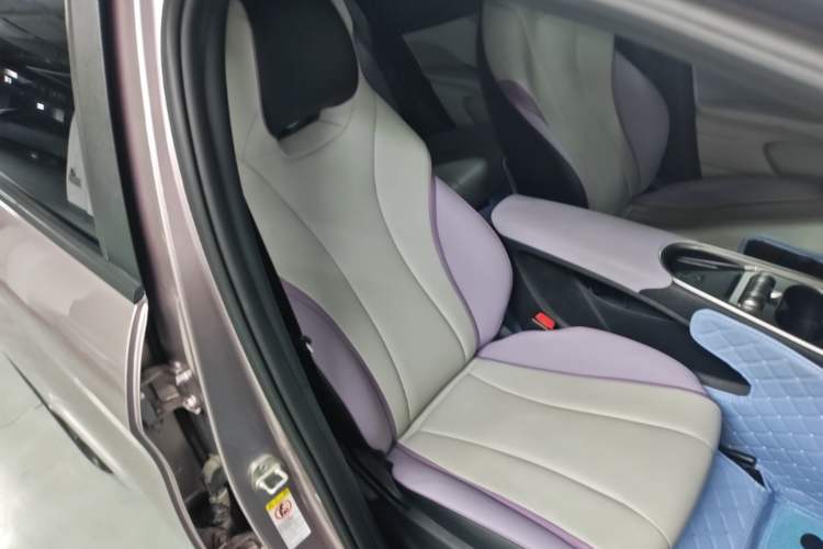 Used BYD Dolphin 2021 405 km Fashion Edition Right Front Seat