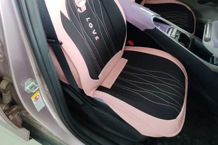 Used BYD Dolphin 2021 405 km Fashion Edition Right Front Seat