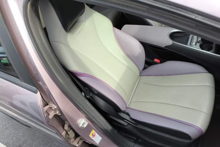Used BYD Dolphin 2021 405 km Fashion Edition Right Front Seat