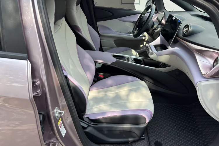 Used BYD Dolphin 2021 405 km Fashion Edition Right Front Seat