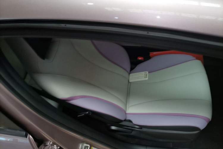Used BYD Dolphin 2021 405 km Free Version Right Front Seat