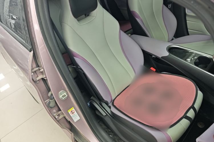 Used BYD Dolphin 2021 405 km Fashion Edition Right Front Seat