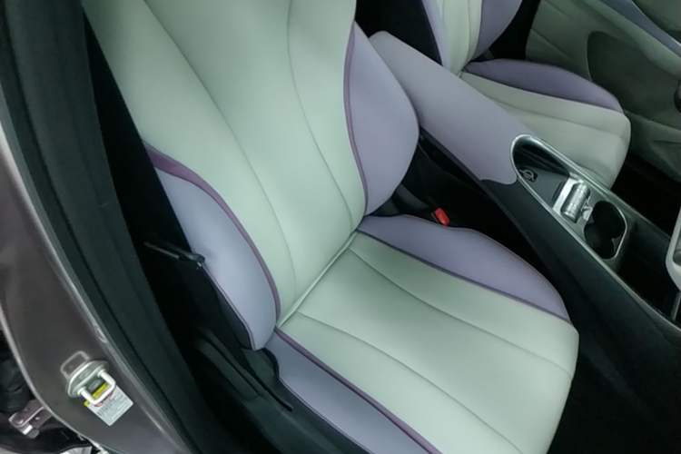 Used BYD Dolphin 2021 405 km Fashion Edition Right Front Seat