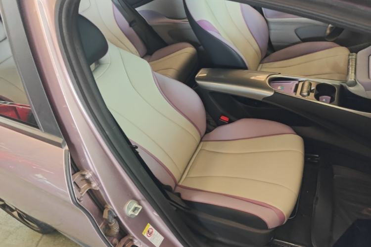 Used BYD Dolphin 2021 401km Knight Edition Right Front Seat