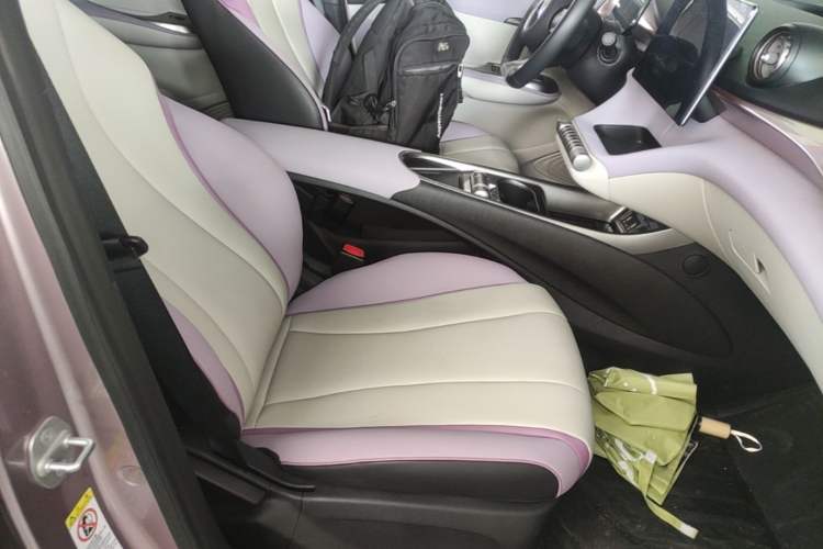 Used BYD Dolphin 2021 405 km Fashion Edition Right Front Seat