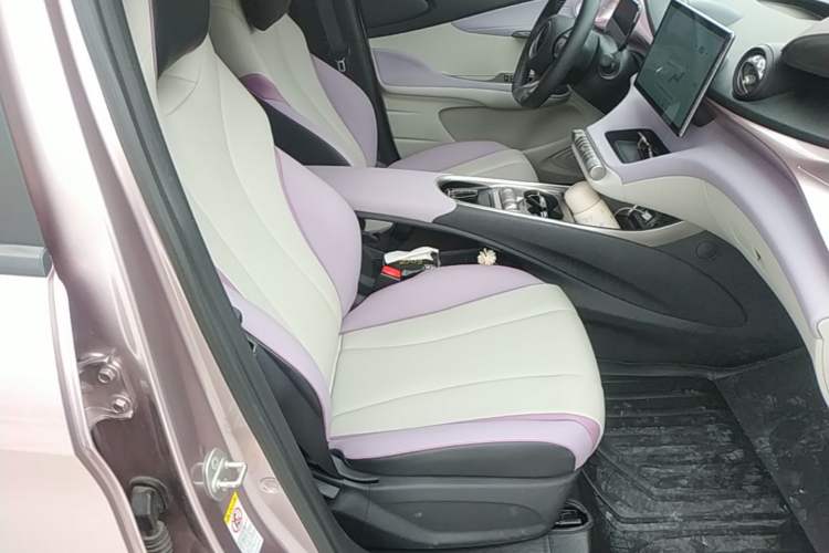 Used BYD Dolphin 2021 401km Knight Edition Right Front Seat