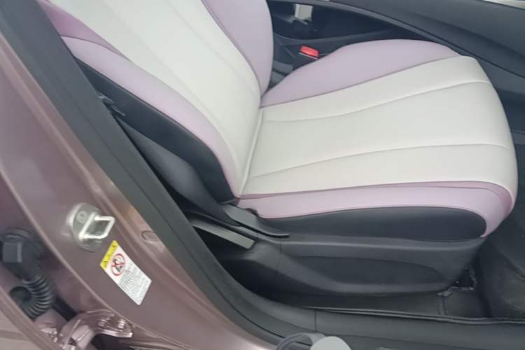 Used BYD Dolphin 2021 405 km Fashion Edition Right Front Seat